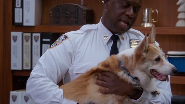 stewart, who plays cheddar on brooklyn nine nine, has died