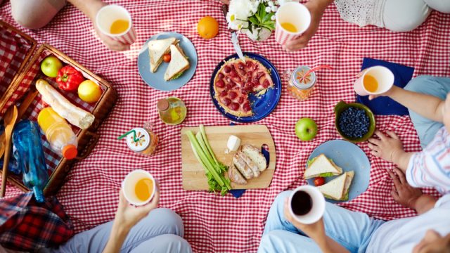 people eating lunch on a gingham picnic blanket, picnic essentials