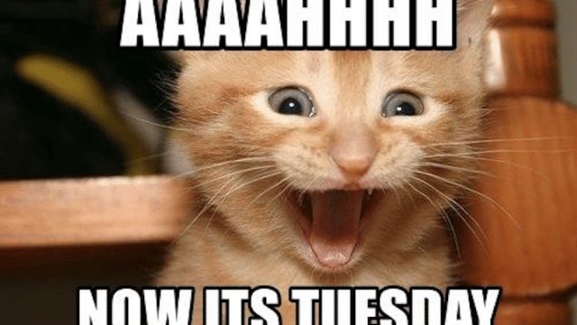 happy tuesday memes