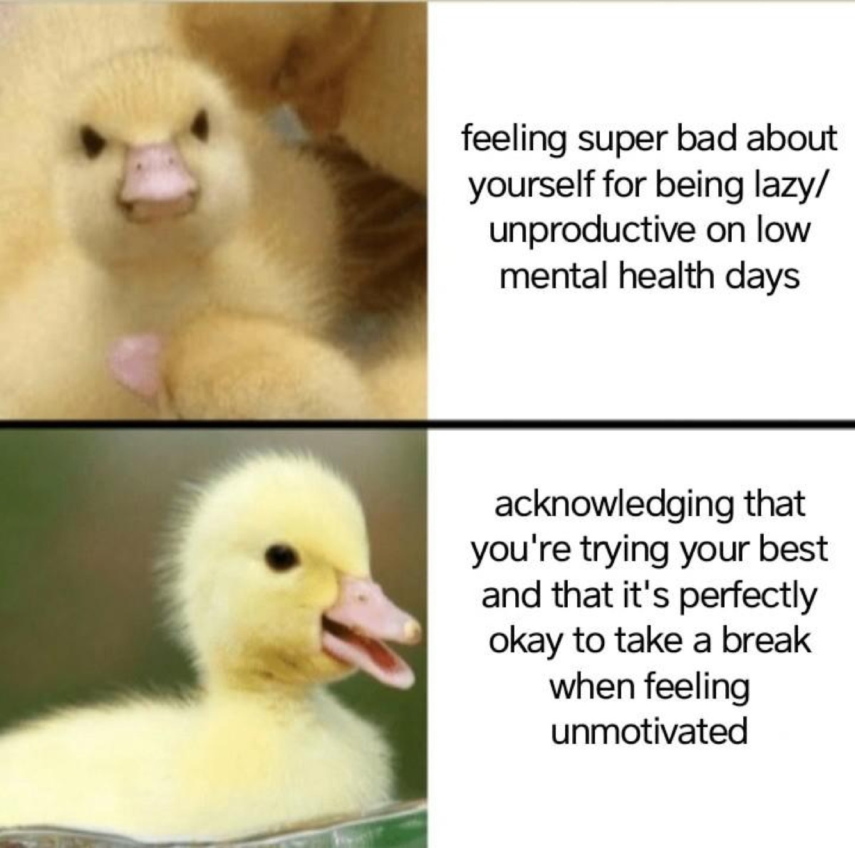 Photo of angry duckling with caption "Feeling super bad about yourself for being lazy/unproductive on low mental health days" and photo of happy duckling with caption, "Acknowledging that you're trying your best and that it's perfectly okay to take a break when feeing unmotivated."