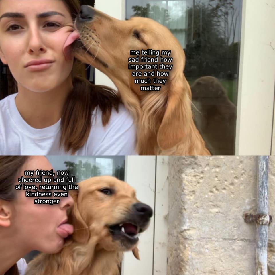 Dog licking woman with caption "Me telling my sad friend how important they are and how much they matter" and photo of woman licking dog with the caption "My friend, now cheered up and full of love, returning the kindness even stronger."