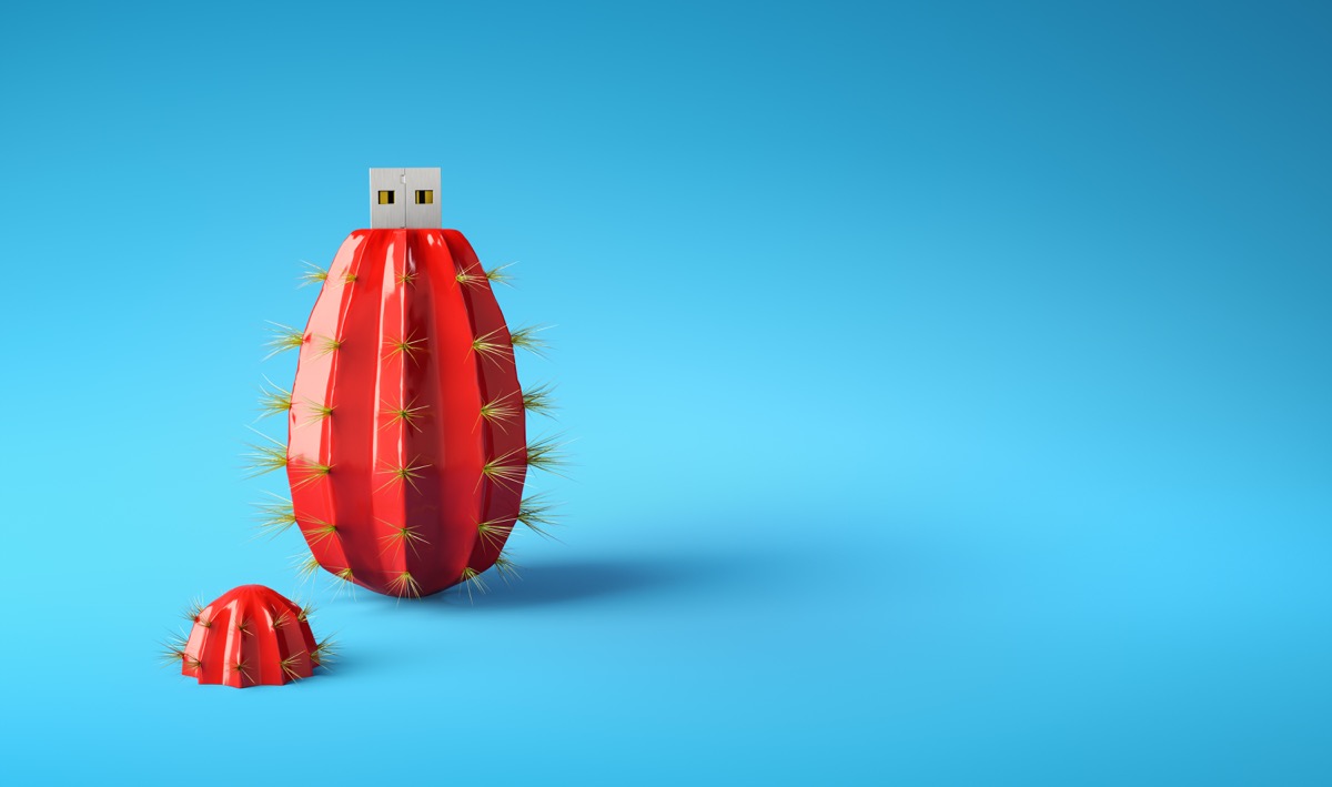 pineapple USB flash drives