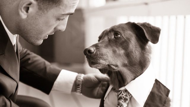 dog serves as best man at wedding