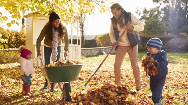 black mother, father, and two little girls raking leaves into green wheelbarrow on a fall day