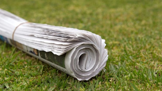 newspaper delivery