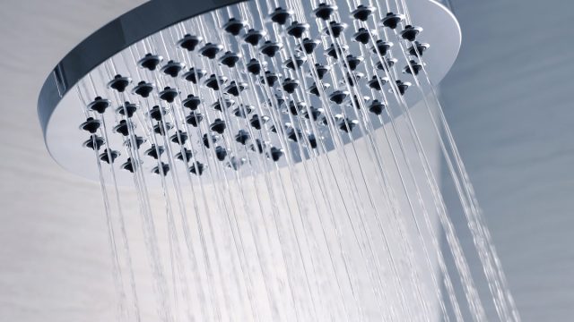 shower heads