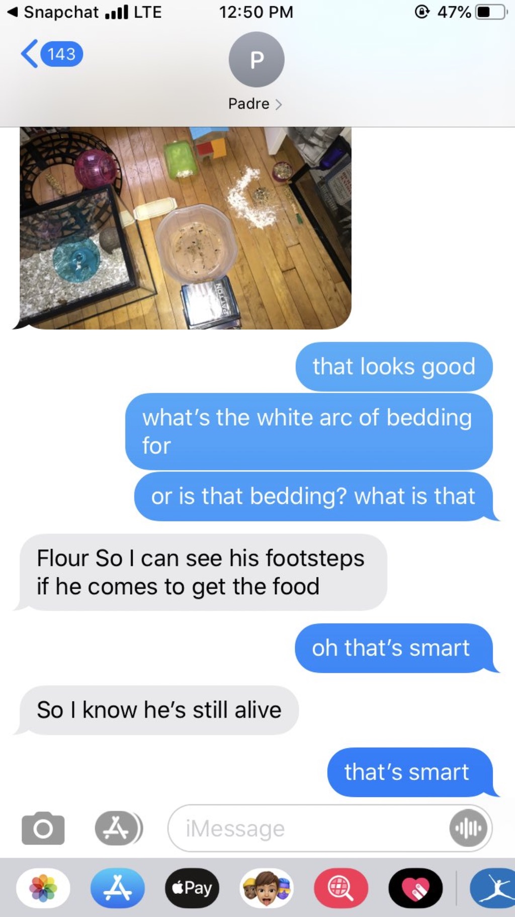 dad loses hamster viral texts