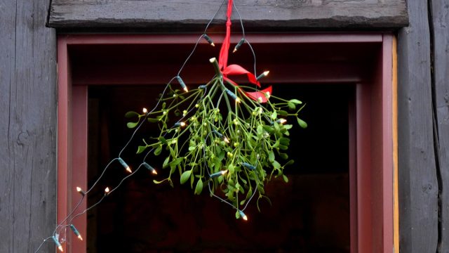 mistletoe in doorway
