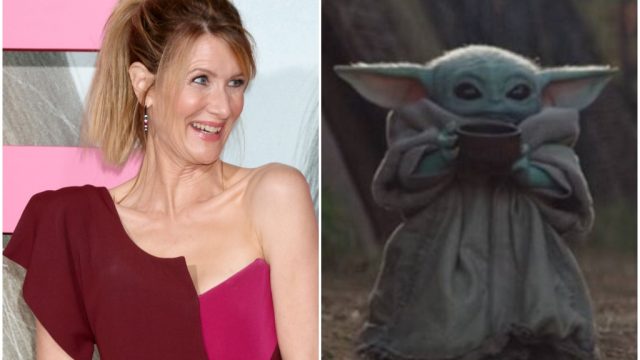 laura dern baby yoda
