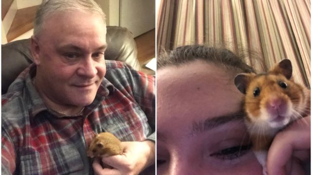 dad loses hamster viral texts