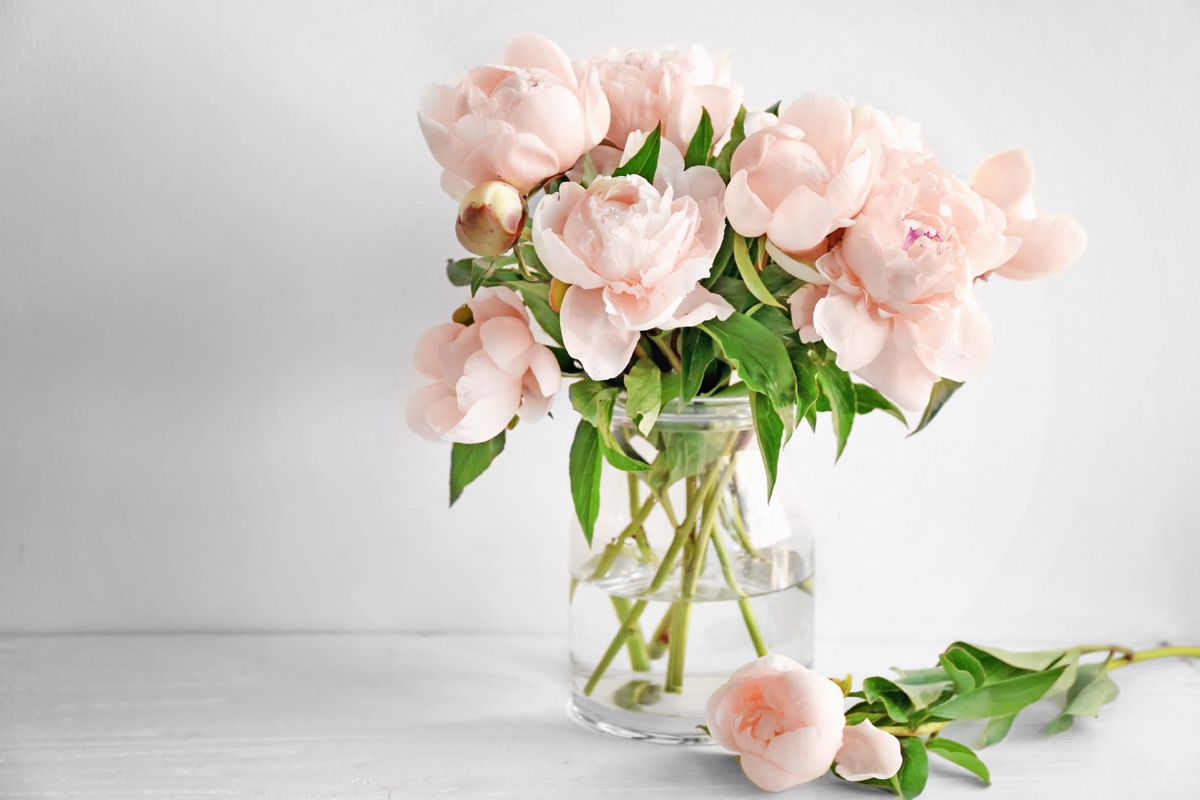 fresh flowers in vase