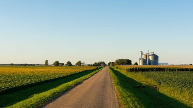 long road cuts through green farmland
