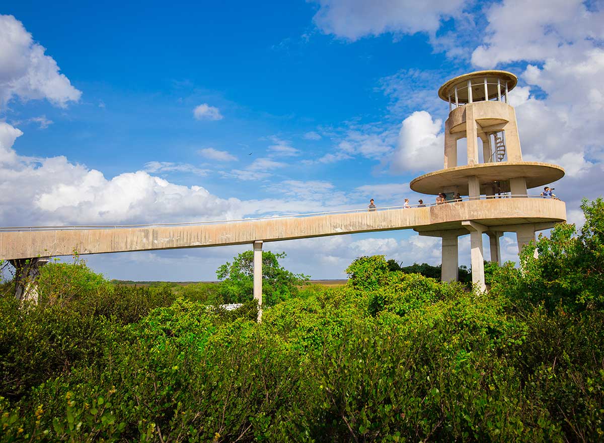 bridge over a marsh