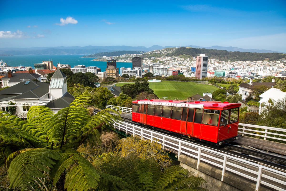 overview of the city of wellington new Zealand with the cable car in the center