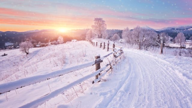 winter landscape