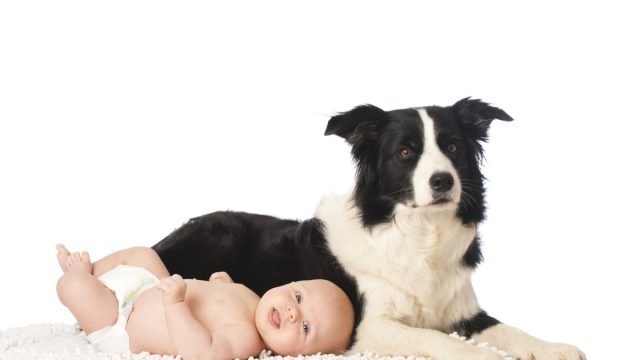 Dog and baby posing