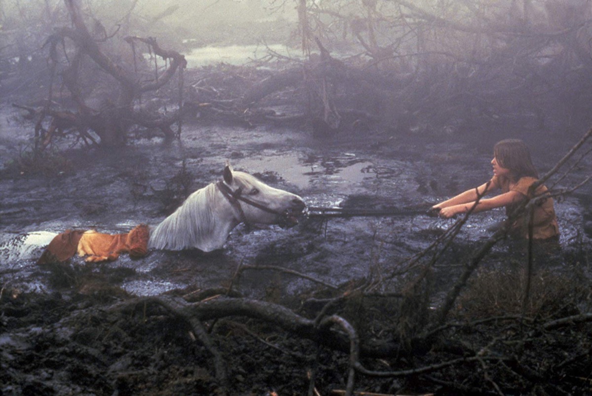 Artax and Noah Hathaway in The Neverending Story