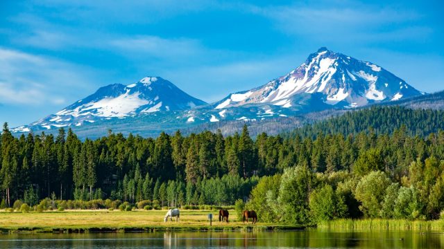 Three horses grazing in a central Oregon meadow near Sisters Oregon with the three sisters mountains in the background