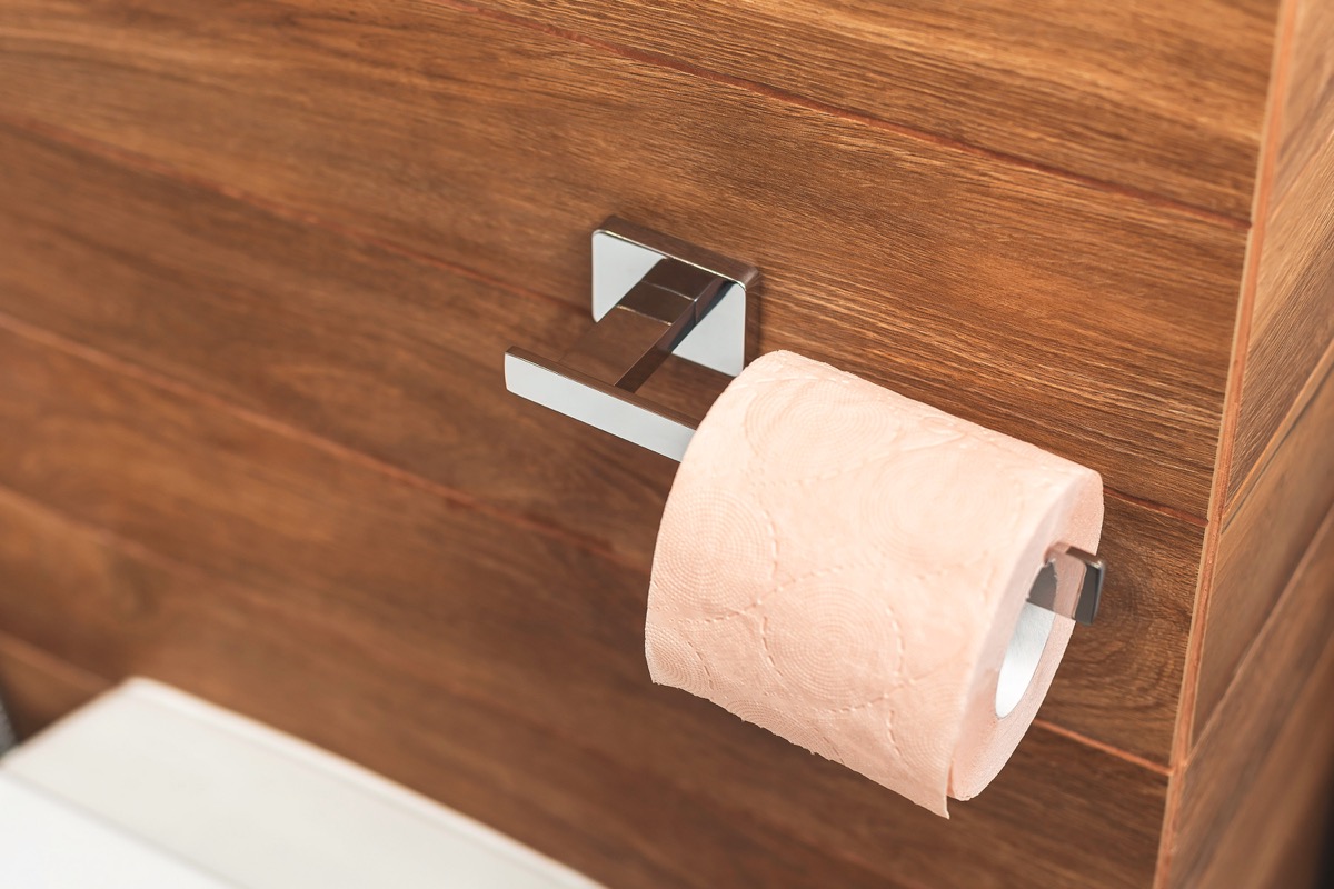 Recycled toilet paper roll