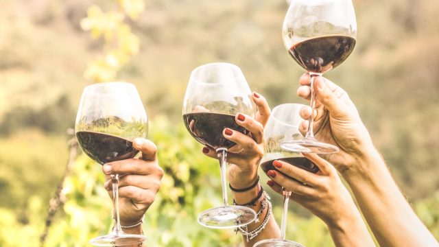 Wine tasting women cheers