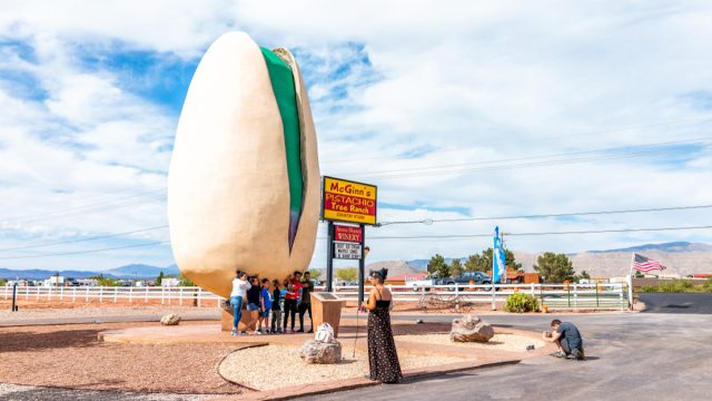 world's largest pistachio nut in new mexico
