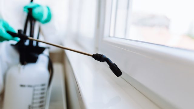 exterminator spraying window