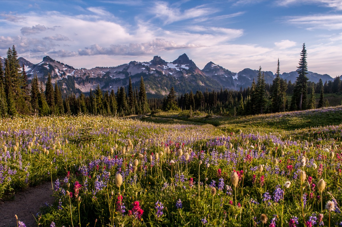Washington state