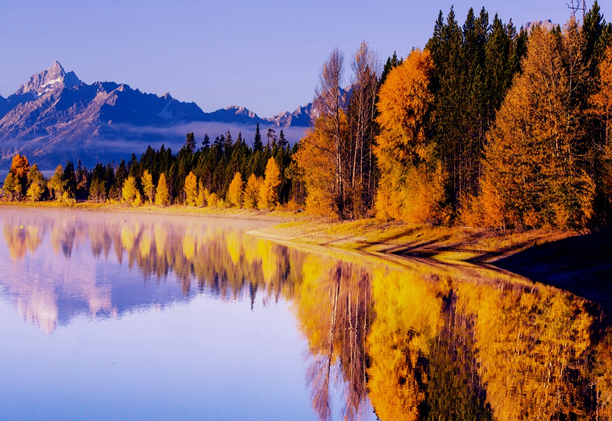 landscape photo of trees, a glacier, and lake in Grand Teton National Park, Wyoming