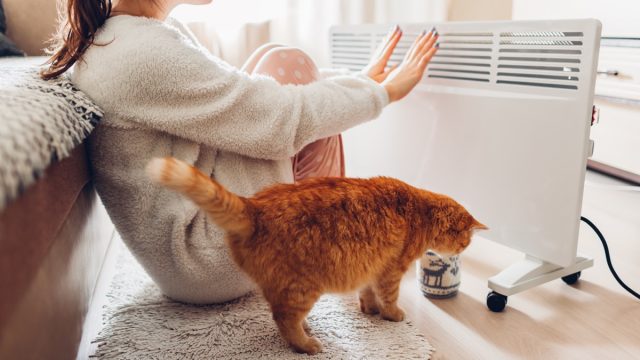 Using heater at home in winter. Woman warming her hands with cat. Heating season.