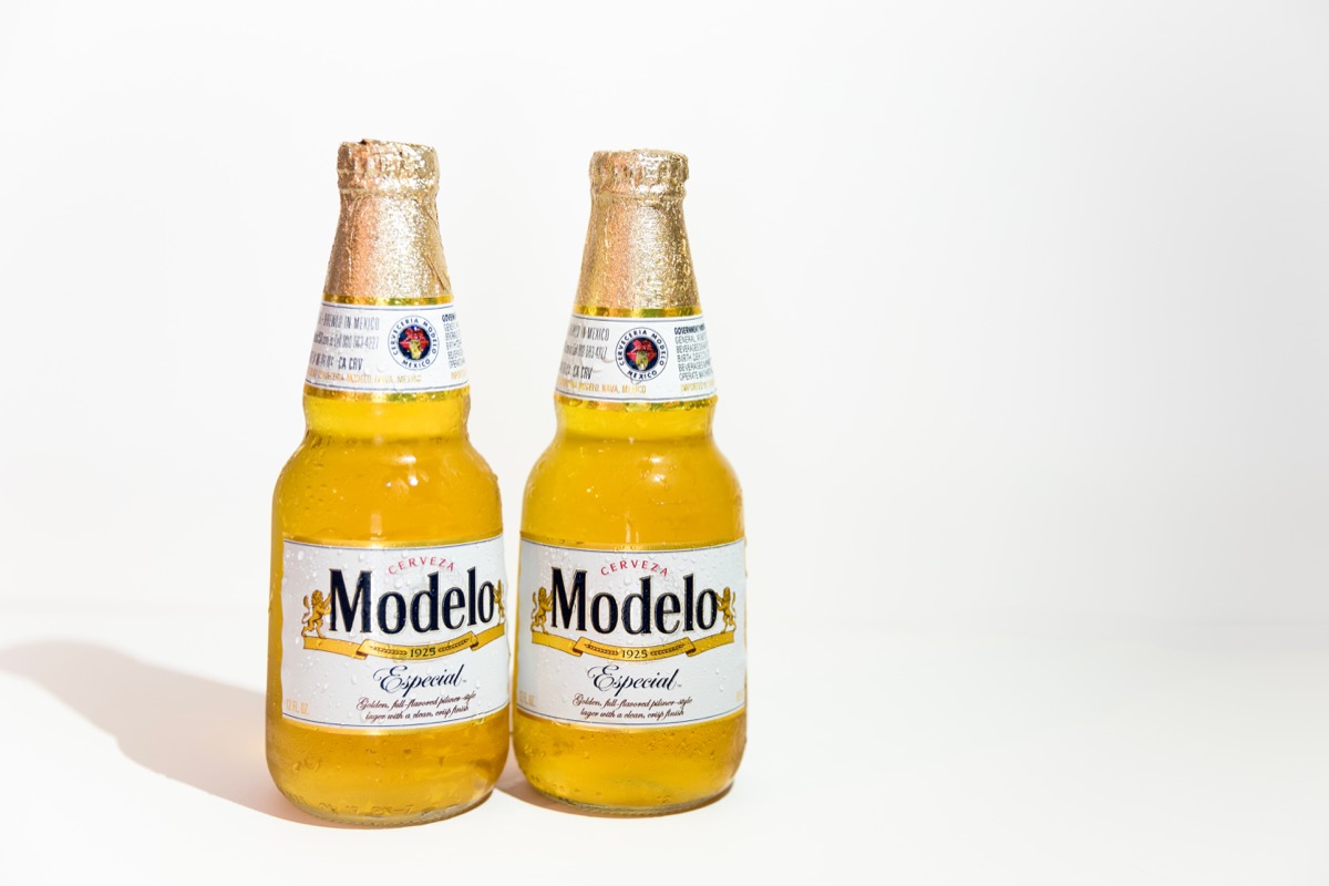modelo beer in glass bottle