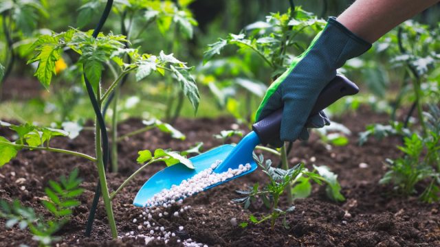 Fertilizer