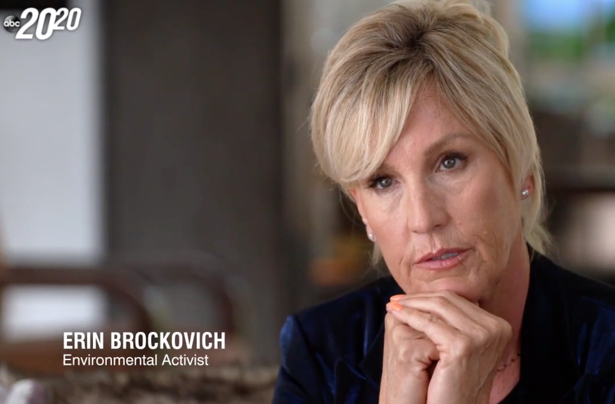 Erin Brockovich on the "20/20" special