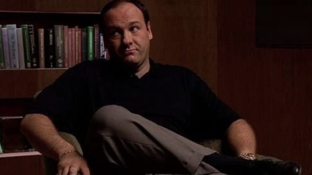 James Gandolfini as Tony Soprano
