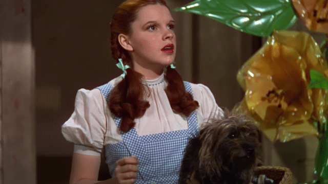 Judy Garland as Dorothy in "The Wizard of Oz"