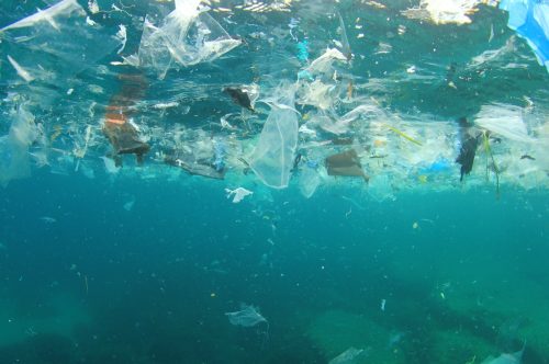 Plastic pollution in ocean