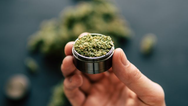 Hand holding marijuana