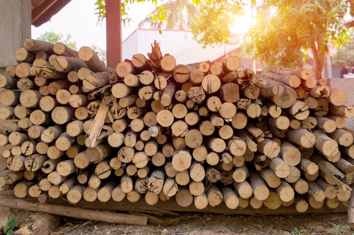 firewood stack