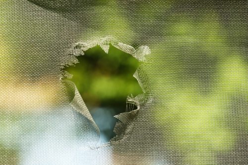 Mosquito screen with hole, close up