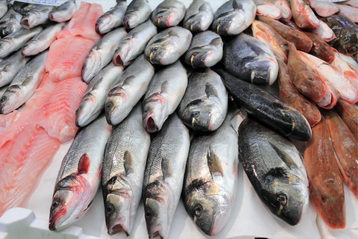 Fish on ice in fish market