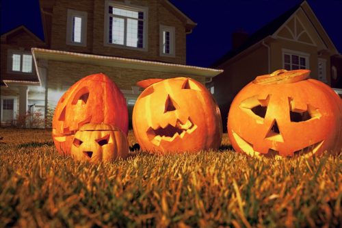 three jack o lanterns sitting in yard outside of a suburban home