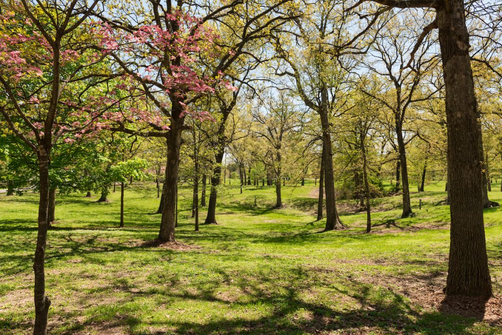 Ladue, Missouri