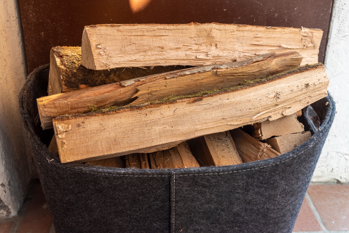 A pile of firewood