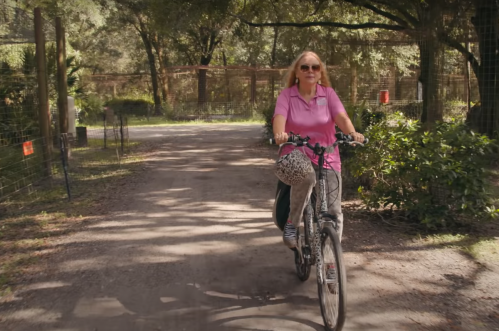 Carole Baskin in the trailer for the first season of "Tiger King"