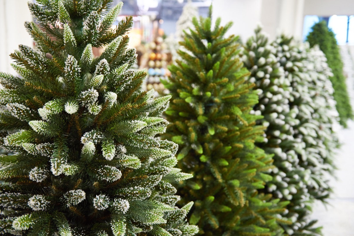 artificial christmas trees in a store