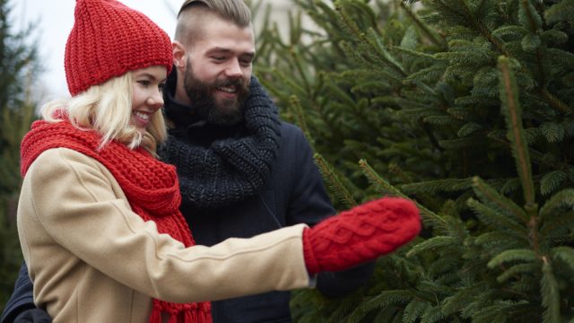 A young couple shopping for a Christmas tree