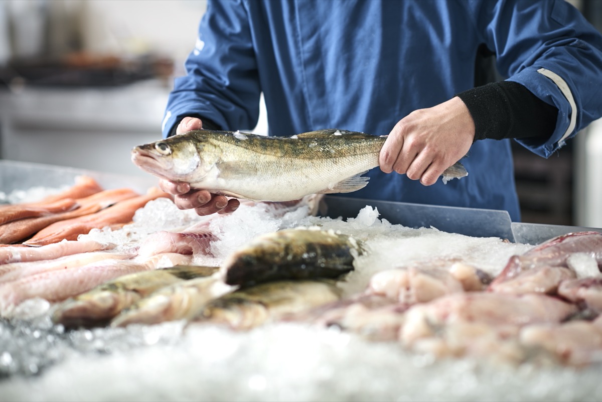 fish on ice