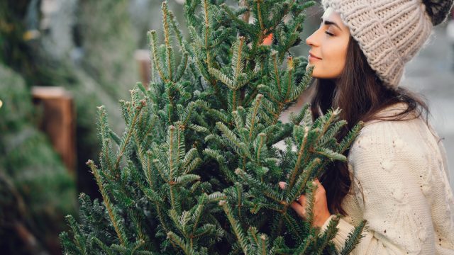 A young woman smelling a Christmas tree she is about to buy while shopping