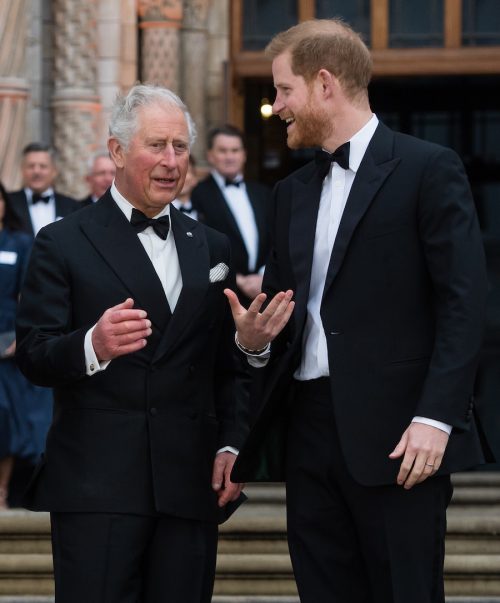 Prince Charles and Prince Harry at the premiere of "Our Planet" in 2019