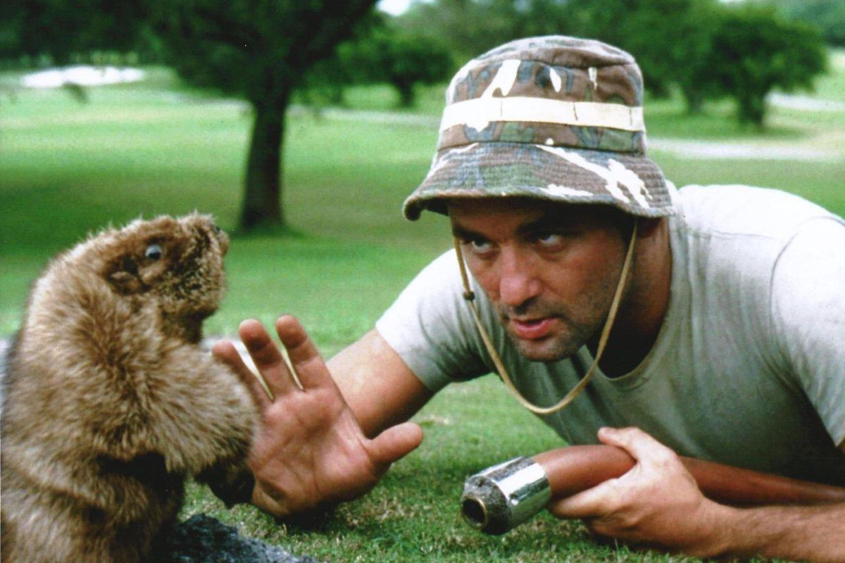 Bill Murray in Caddyshack
