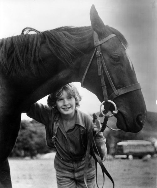 Mark Lester in "Black Beauty" in 1971